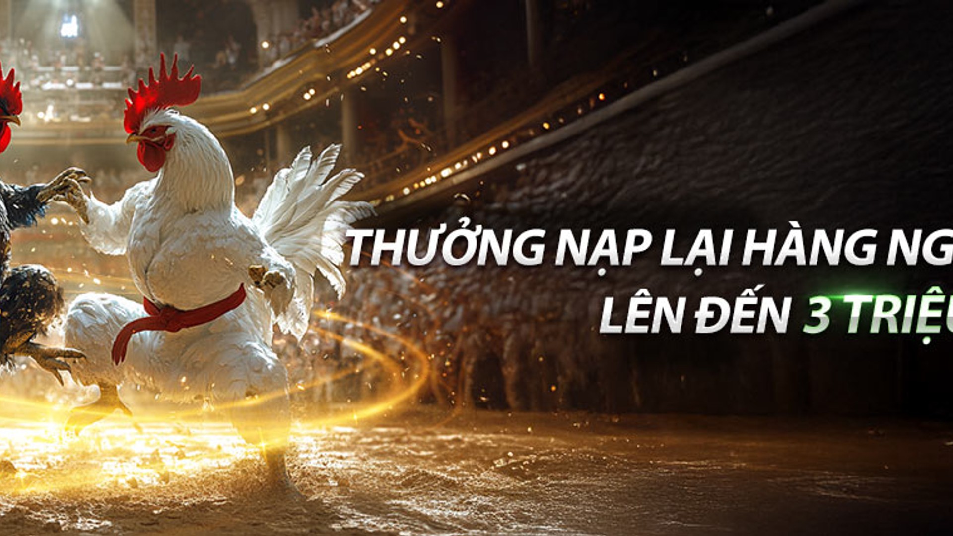 Đá gà ev99: Sân chơi cá cược trực tuyến đỉnh cao